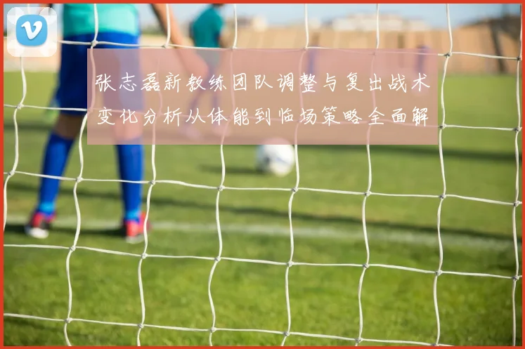 张志磊新教练团队调整与复出战术变化分析从体能到临场策略全面解读