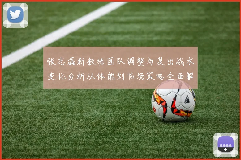 张志磊新教练团队调整与复出战术变化分析从体能到临场策略全面解读