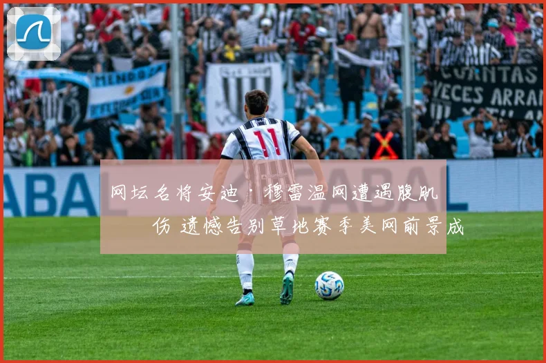 网坛名将安迪·穆雷温网遭遇腹肌拉伤 遗憾告别草地赛季美网前景成疑
